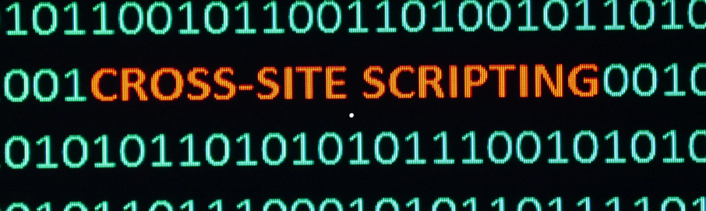 cross site scripting